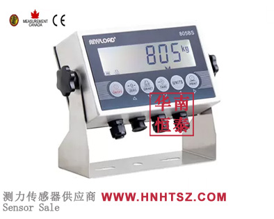 805BS-B-19 Digital Weight Indicator
